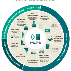 mobile money ecosystem africa